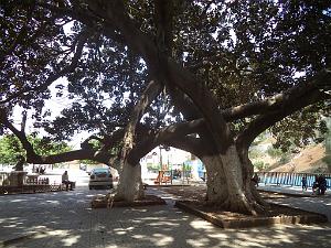 2018 05 VOYAGE A ORAN EN MAI 2018 (94)